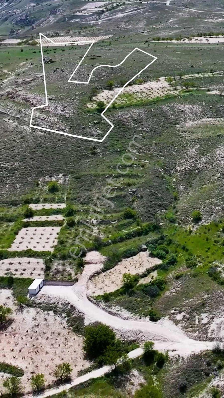 Ürgüp Karacaörende Bağ(drone Videolu) - Görsel 5