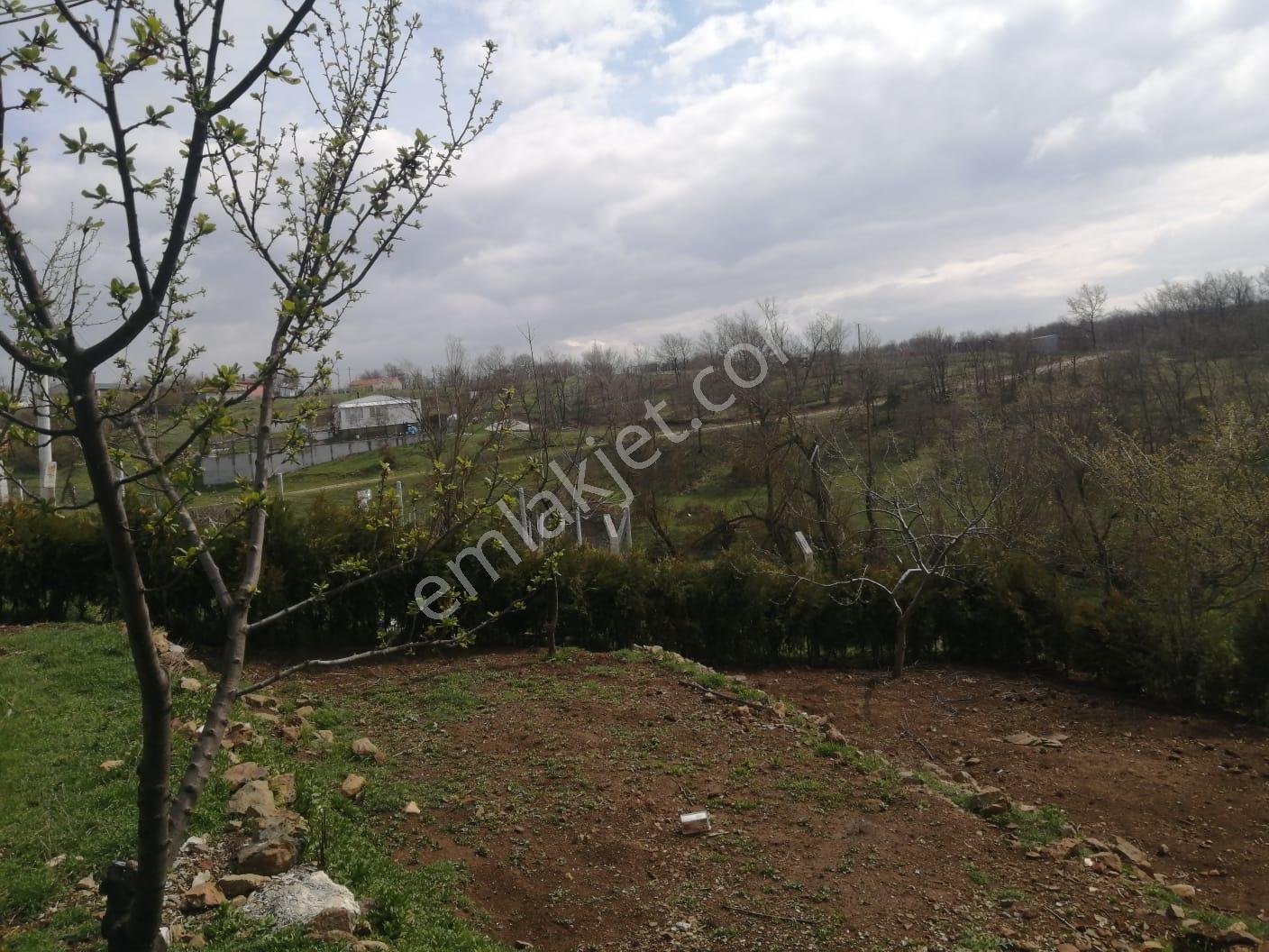 Recep Ümit'ten Yarımca Köyü Köyiçi Mevkinde Satılık 665 M2 Bahçe - Görsel 5