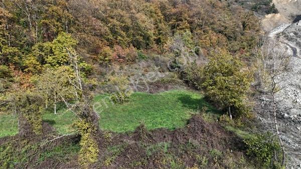 Doğa İçerisinde Bır Taraf Dere Bir Taraf Orman Satılık Bahçe - Görsel 2