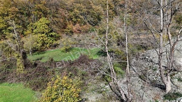 Doğa İçerisinde Bır Taraf Dere Bir Taraf Orman Satılık Bahçe - Görsel 5