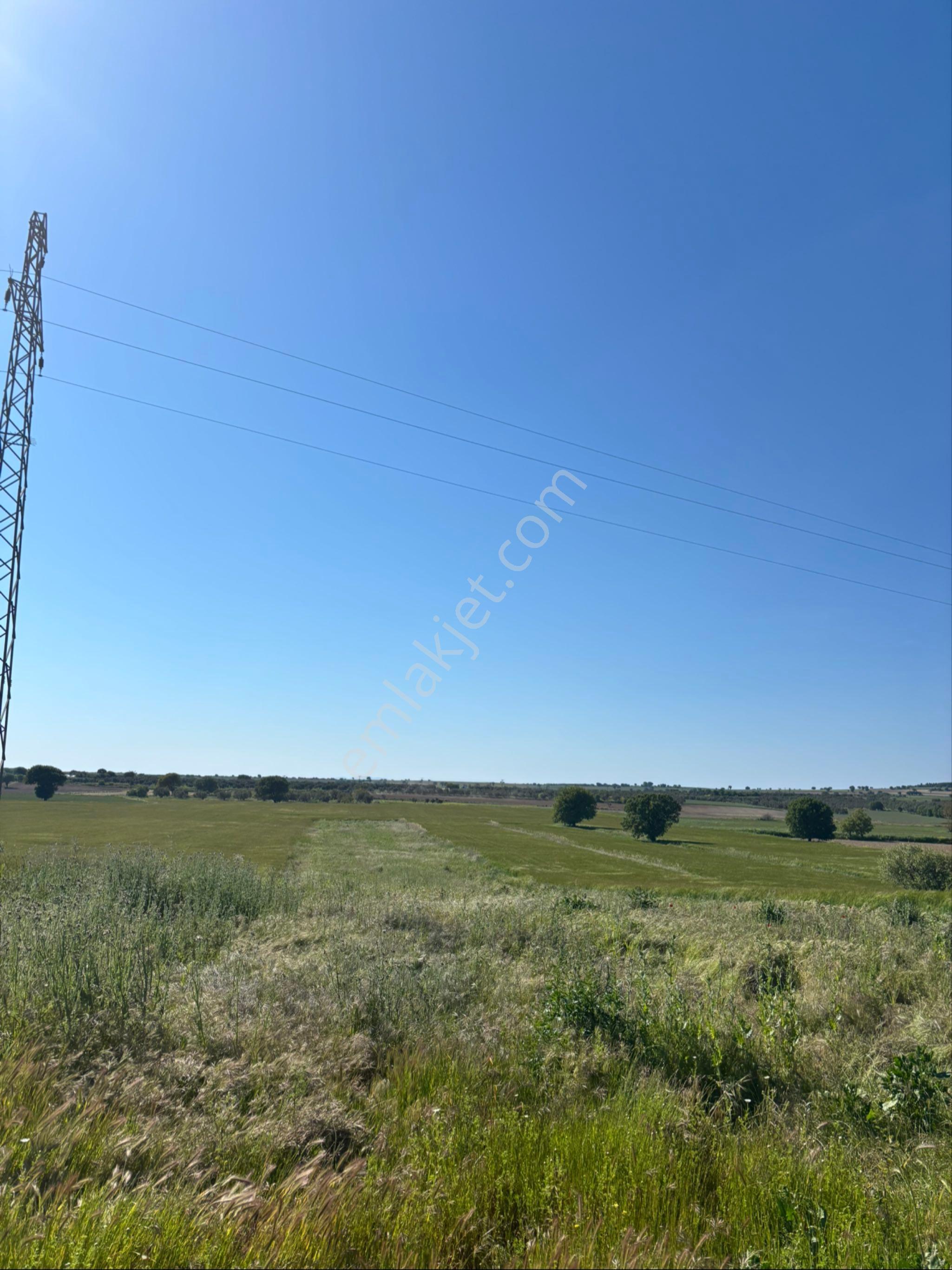 Halileli'de Yola Cephe Suya Yakın Tarıma Uygun 5506m² Yatırımlık - Görsel 14