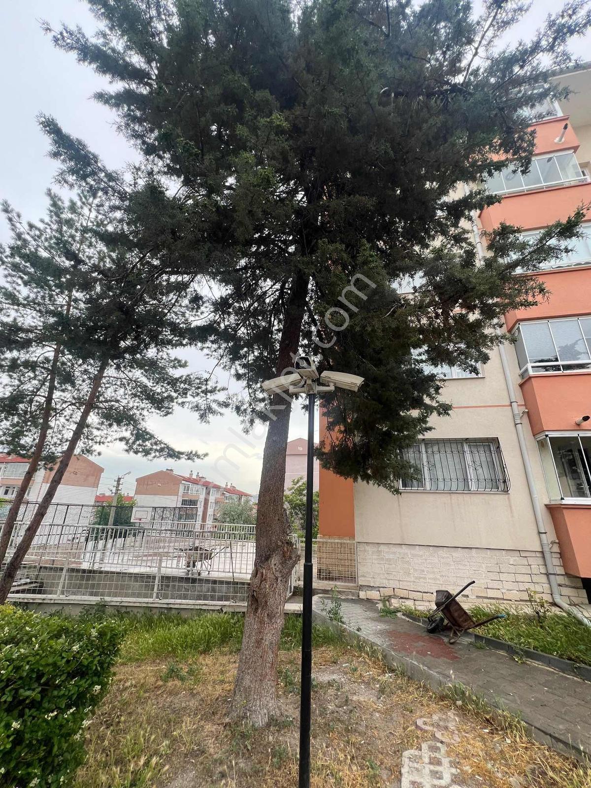A L C Den Yunus Emrede Site İçi Salon Bağımsız 2+1 Satılık Daire - Görsel 28