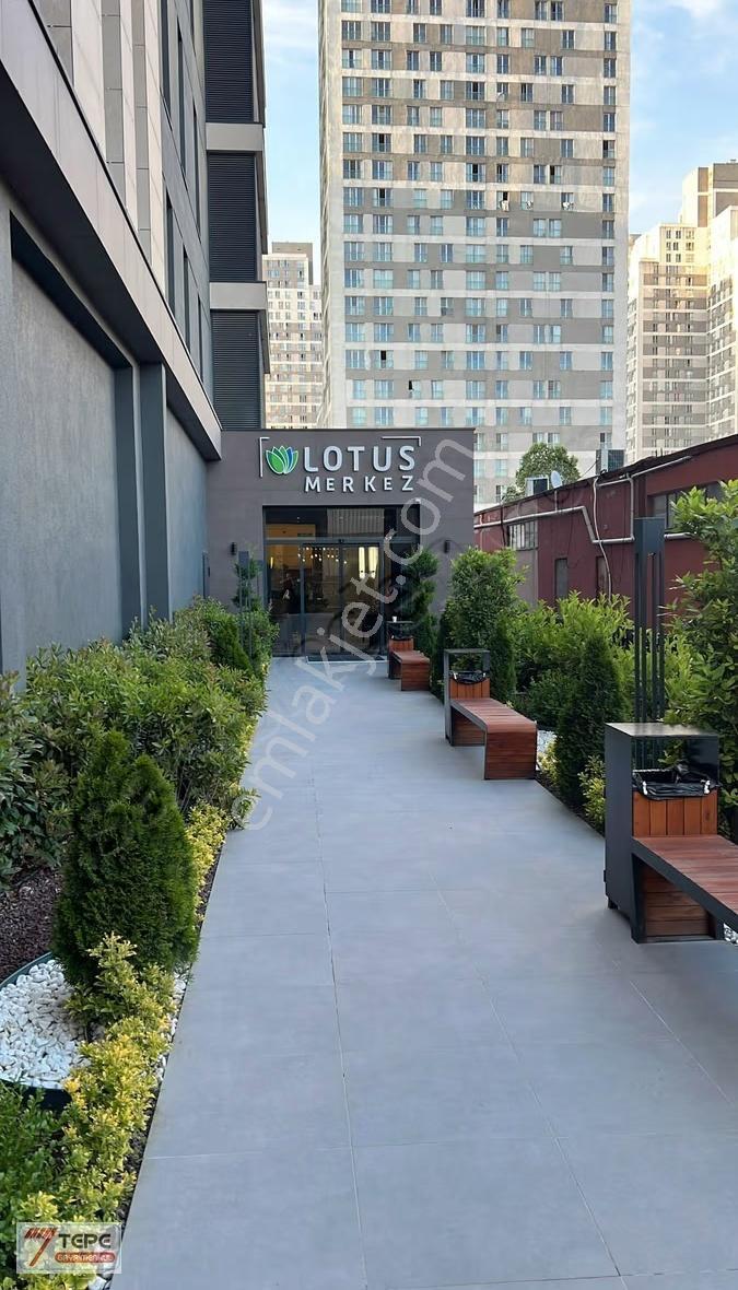7tepeden Lotus'ta Kiralık İşyeri