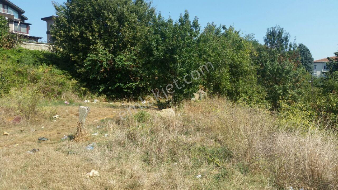 Sarıyer İstinye Muhteşem Boğaz Manzaralı 3.671m² Müstakil Arsa - Görsel 24