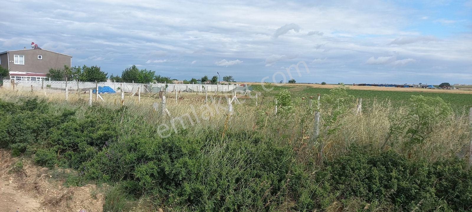 Tekirdağ Saray Yuvalı Tarladan 306 M2 Hisse - Görsel 9