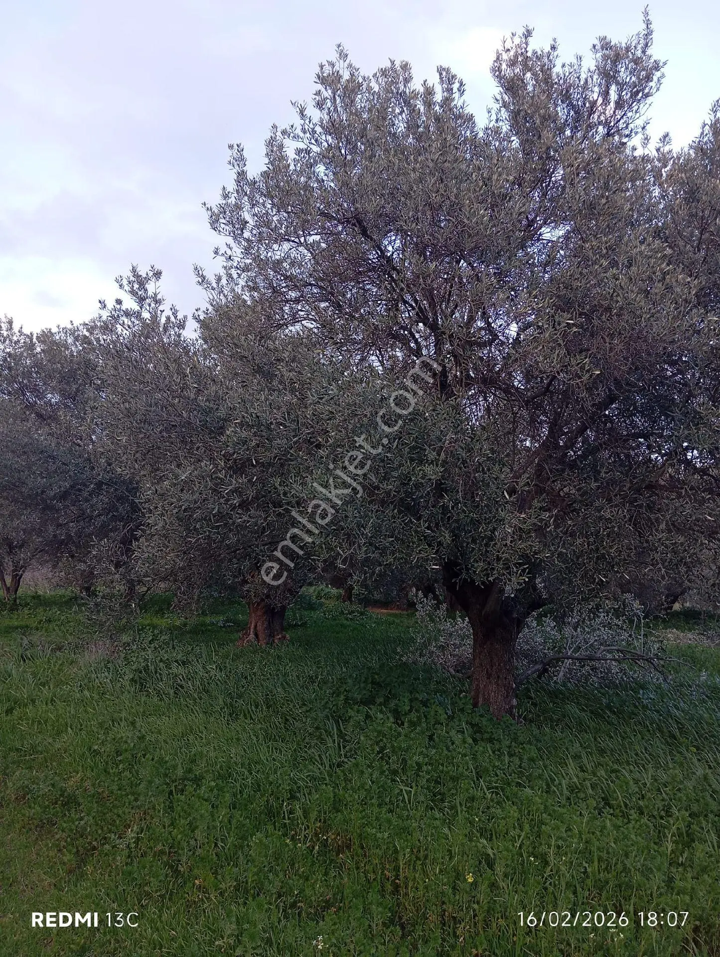 Sahibinden Tek Tapu-köye Yakın - Görsel 5