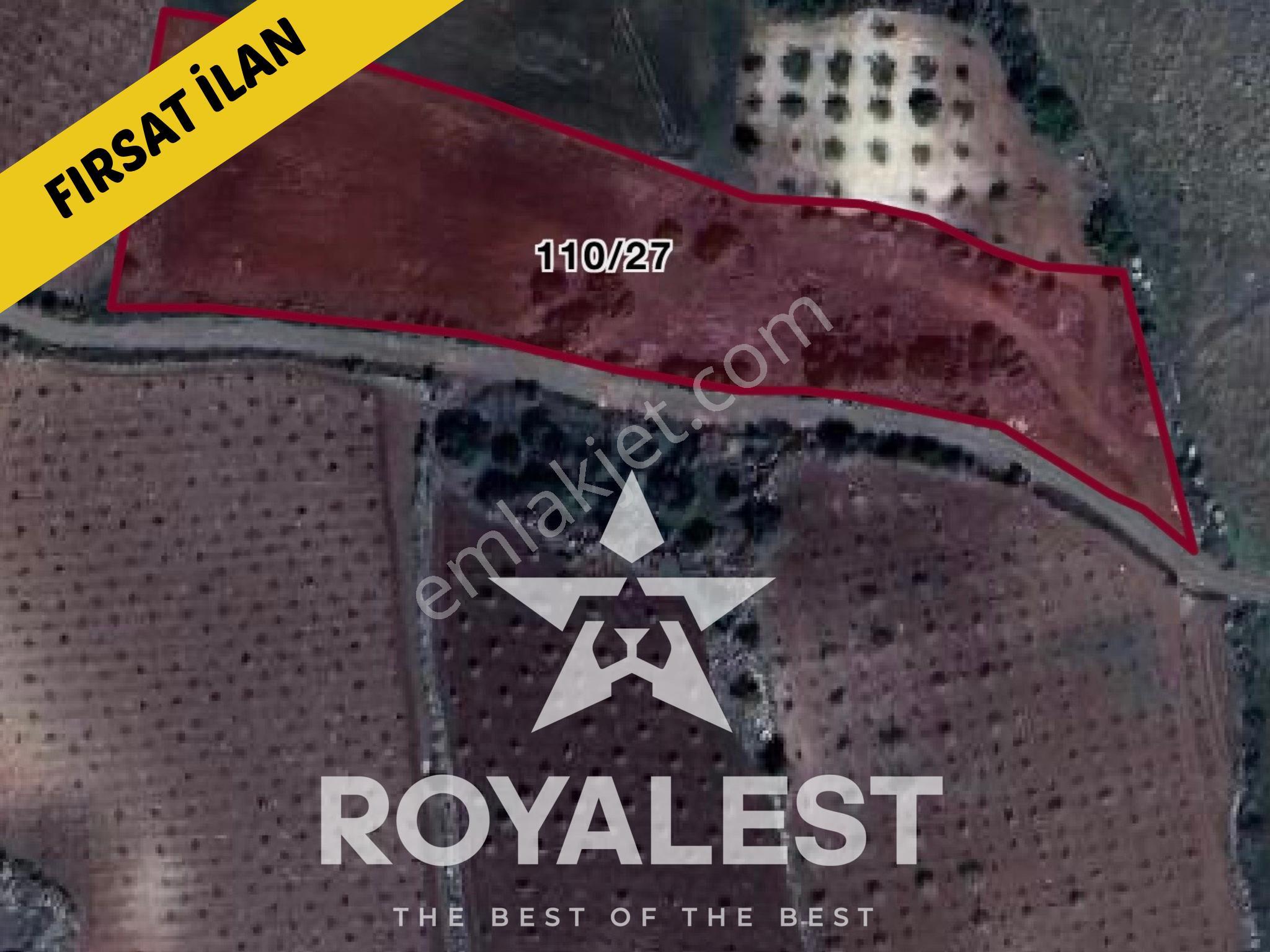 Royalest'ten Yaycı Mahallesi'nde Uygun Fiyatlı Acil Parseller