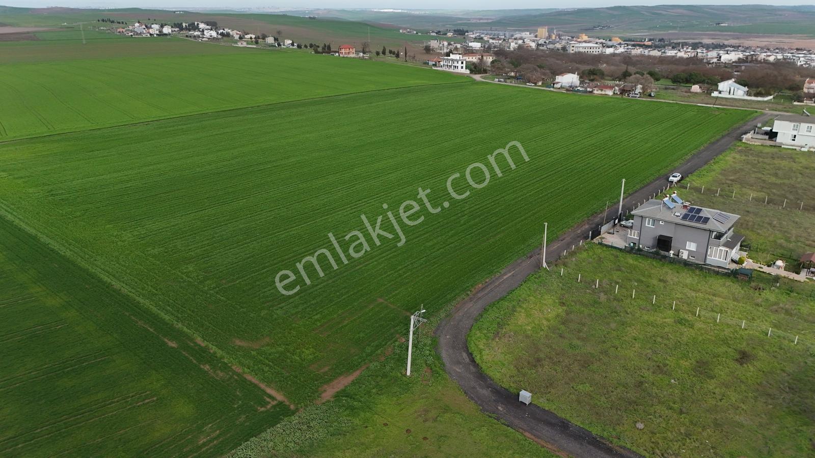 Yenice Mevkii Yazlık Yapımına Uygun Yol Cepheli Satılık Arsa - Görsel 3