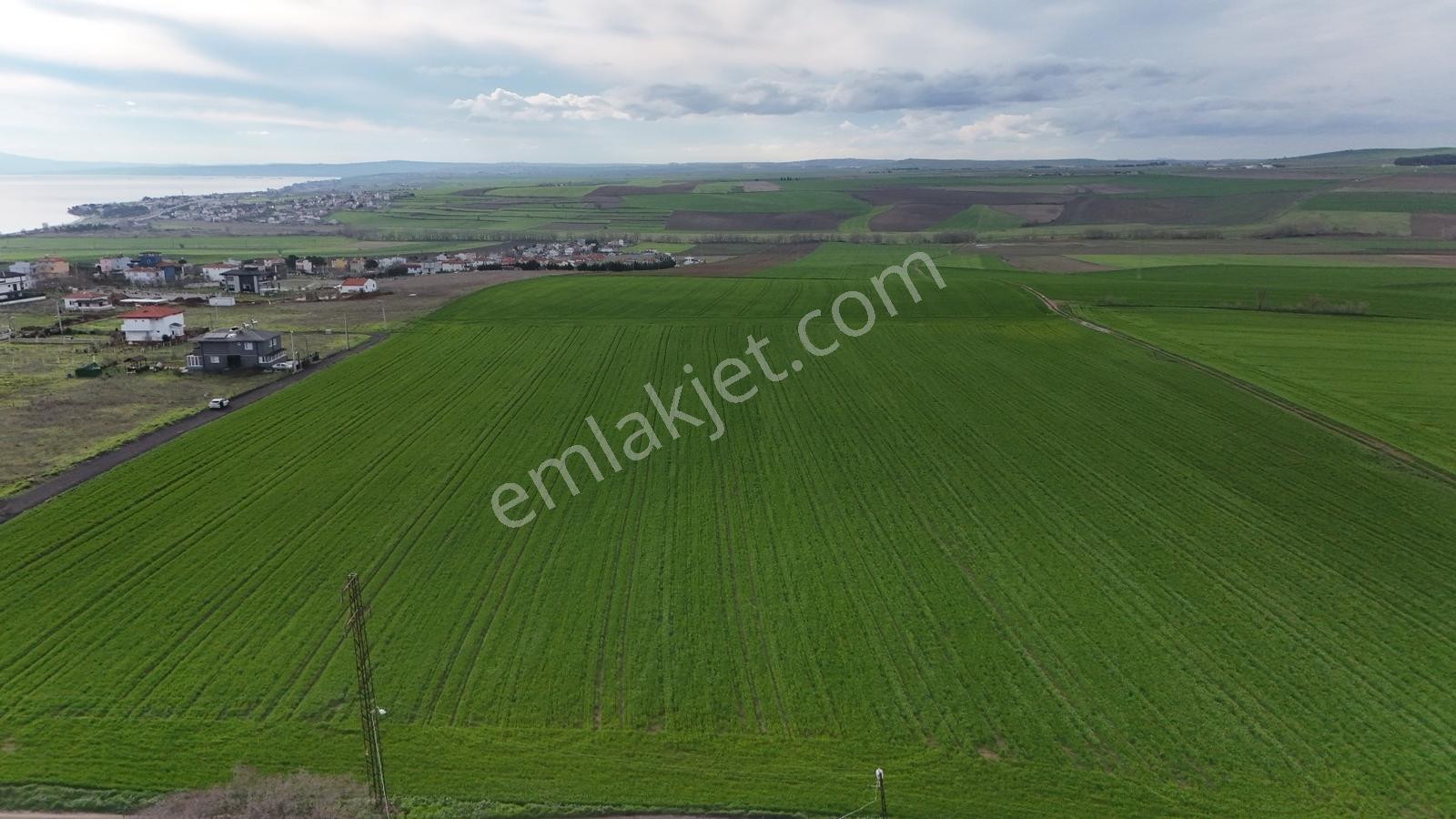 Yenice Mevkii Yazlık Yapımına Uygun Yol Cepheli Satılık Arsa - Görsel 17