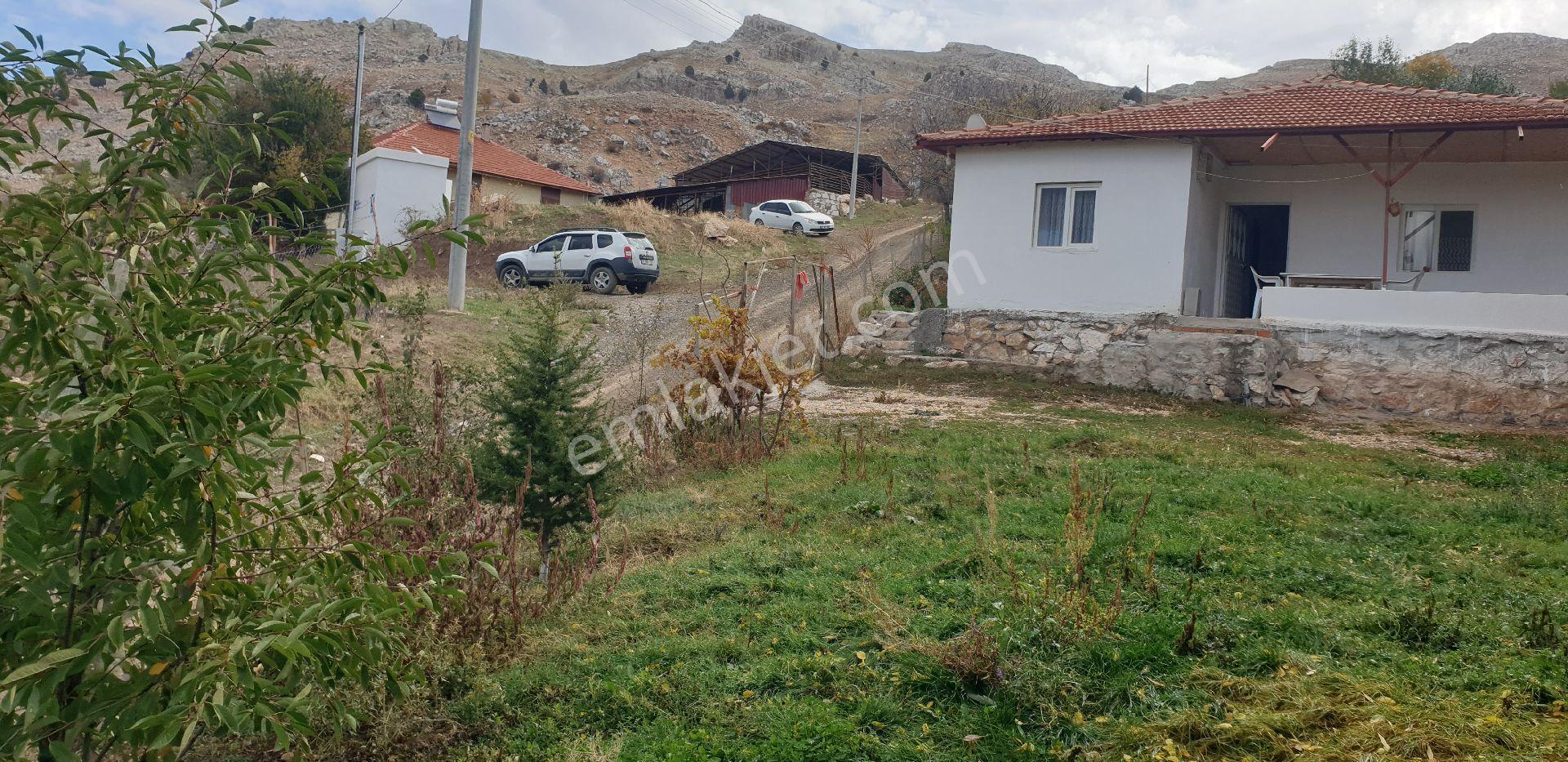 Ev, Bahçe, Hobi Bahçesi, Tarih - Görsel 10
