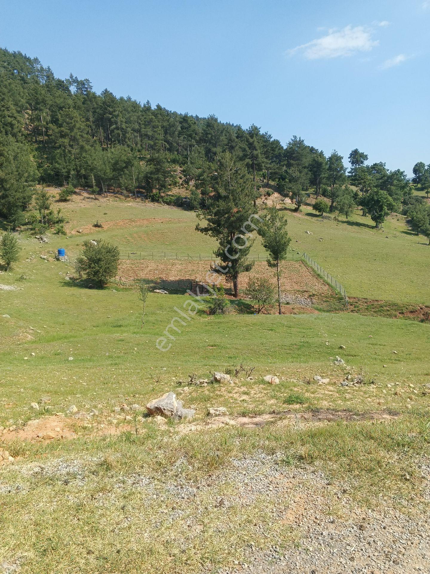 Boğazpınar Da - Görsel 2