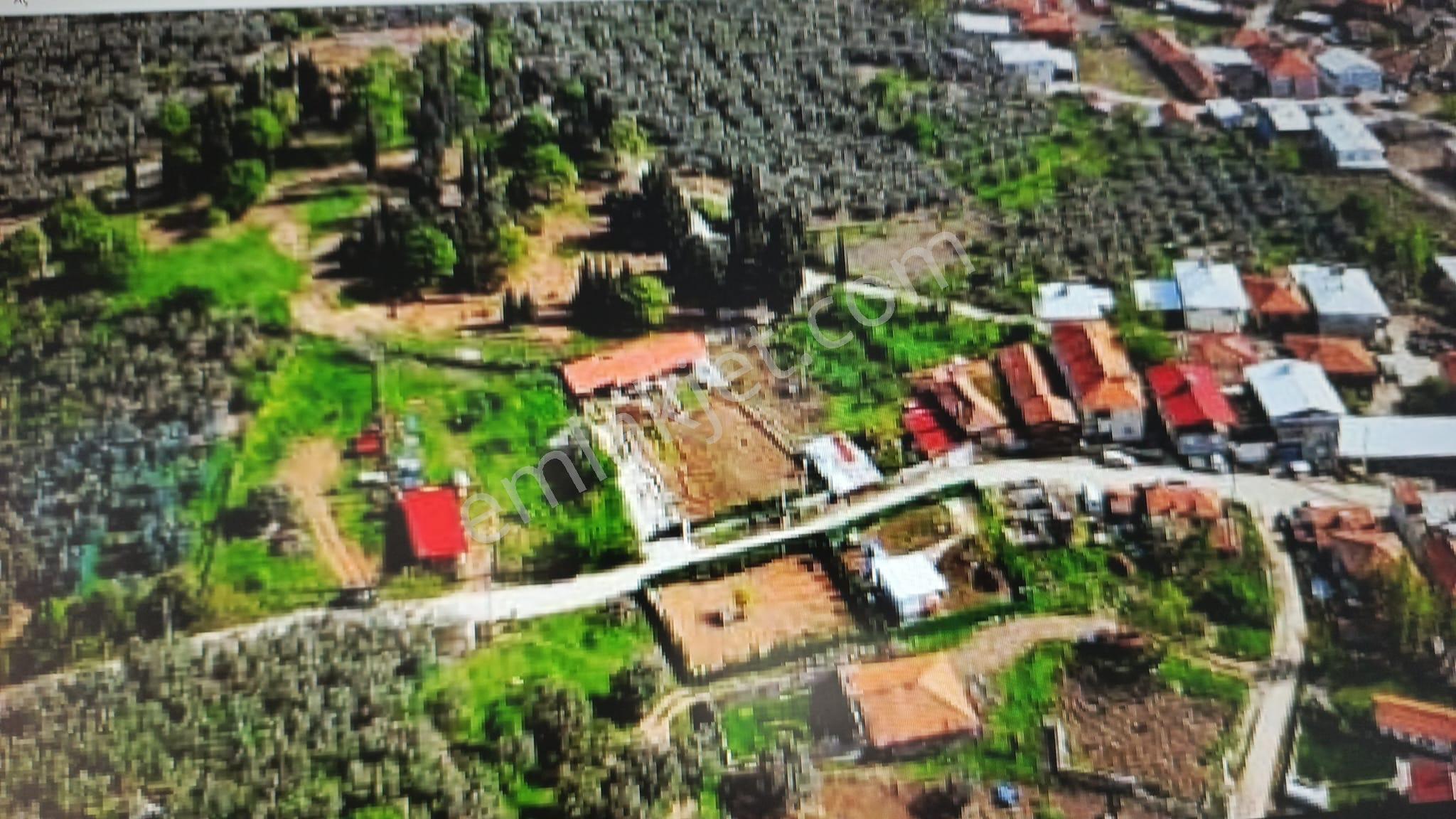 Mudanya Mirzaoba Mah.'de Satılık İmarlı Arsa 2 Ayrı Tapu Etrafıçevrilmi 430 M2 İnşaata Uygun - Görsel 8