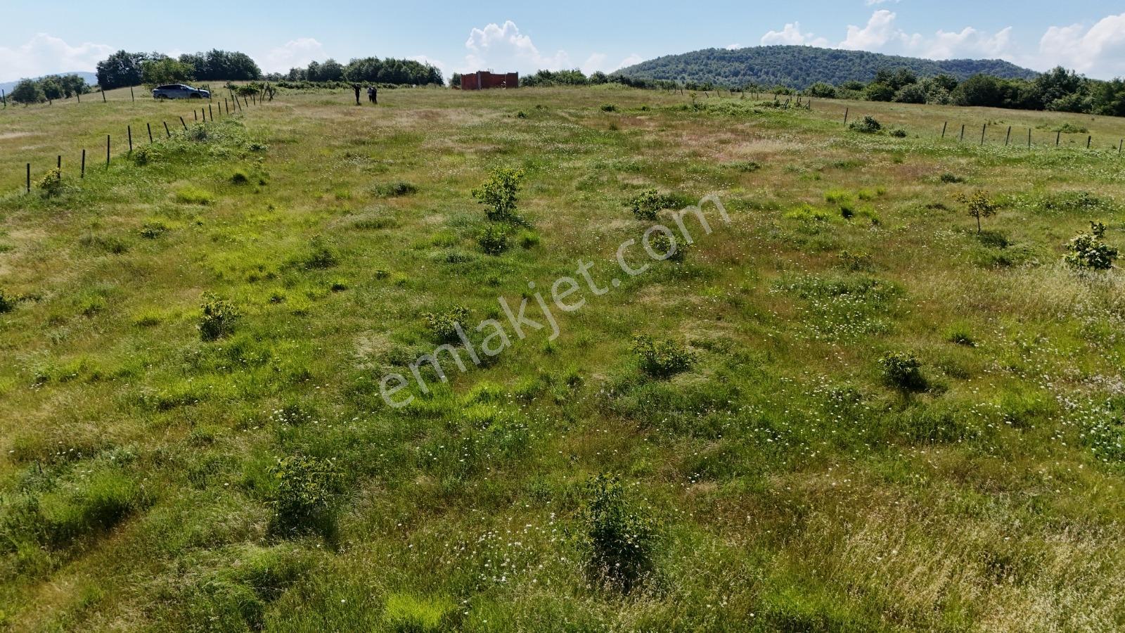 Bi·nova 'dan Canik Başkonak Köyünde Satılık 4525 M² Tarla - Görsel 16