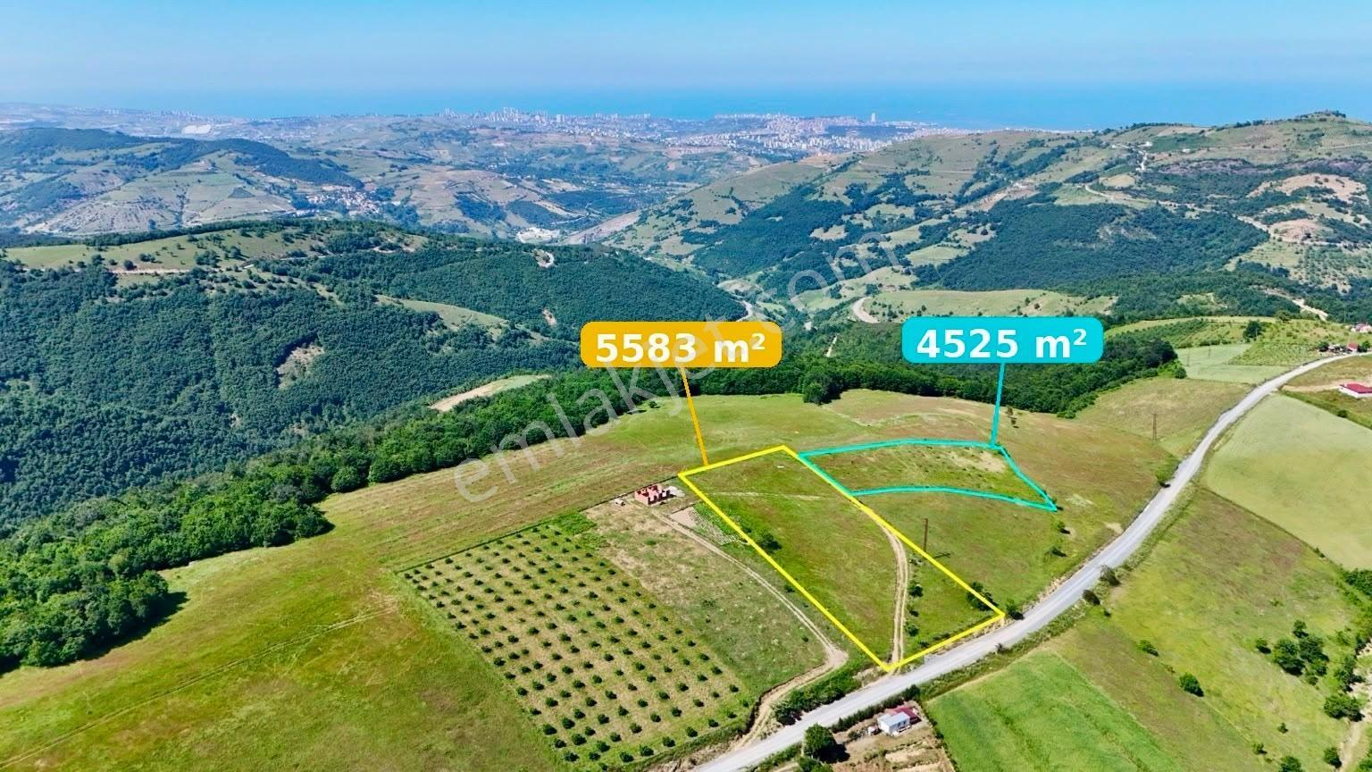 Bi·nova 'dan Canik Başkonak Köyünde Satılık 5583 M² Tarla