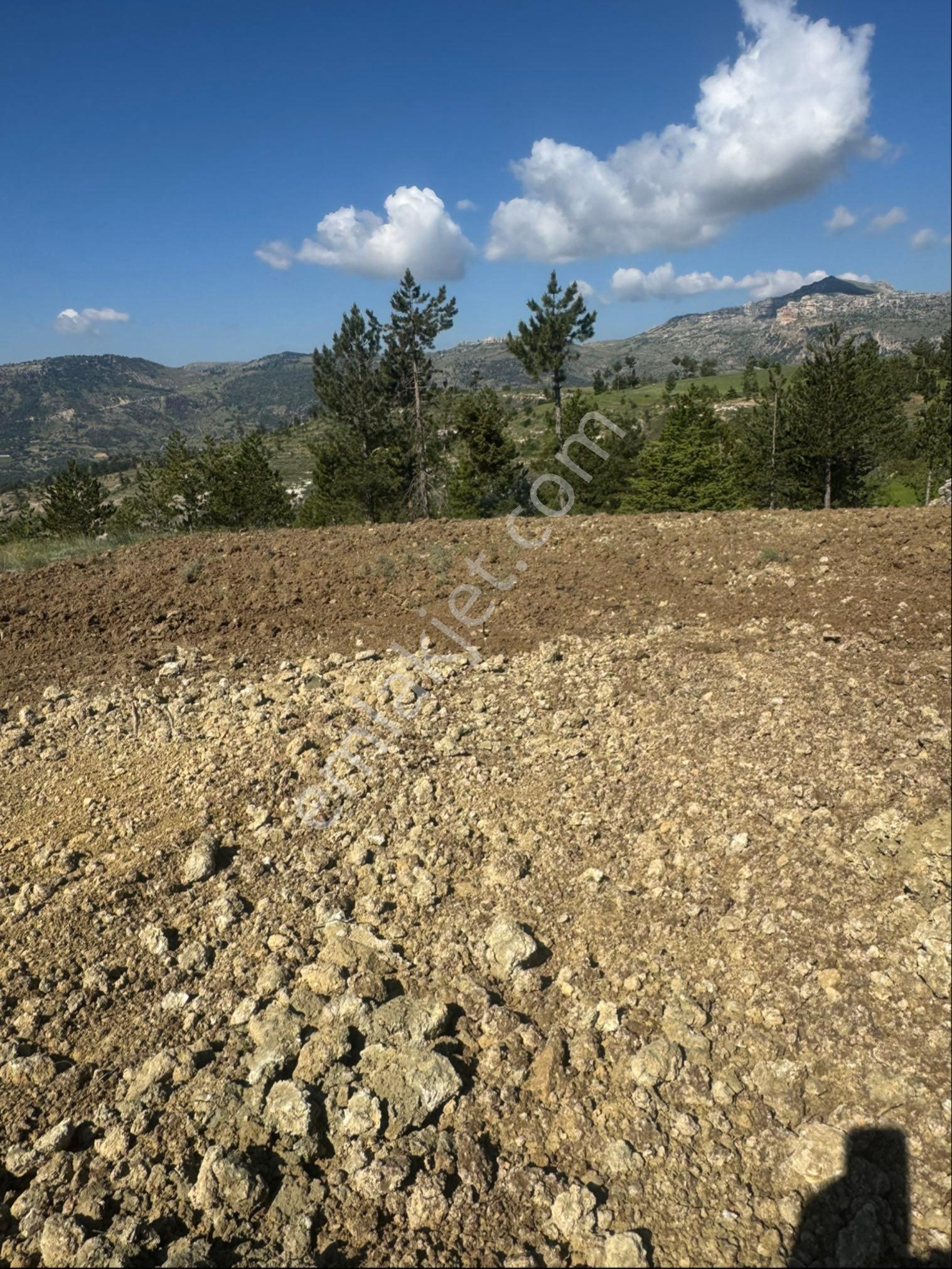 Satılık 644 M2 Suyu Olan Tarla - Görsel 6