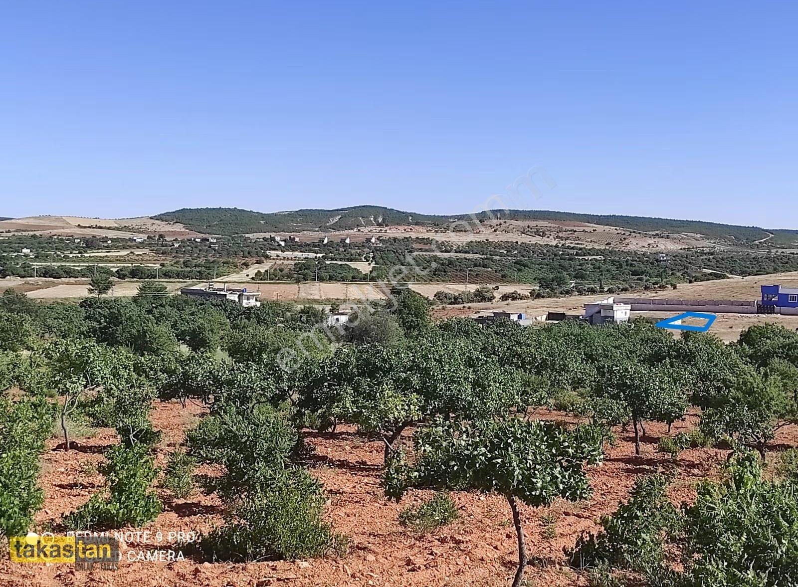 Subağzı'nda Satılık 584m² Konut İmarlı Arsa - Yatırım Fırsatı - Görsel 5