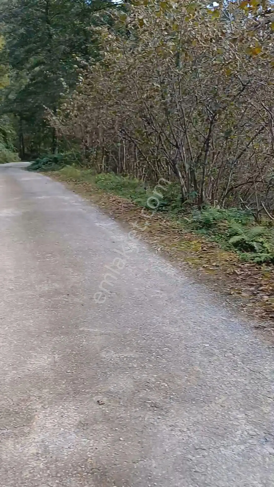 Fırsattır Kısa Süreli Fiyat Giresun Görele'de Ana Yola Cephe Müstakil Tapulu 590 M2 Parsel.