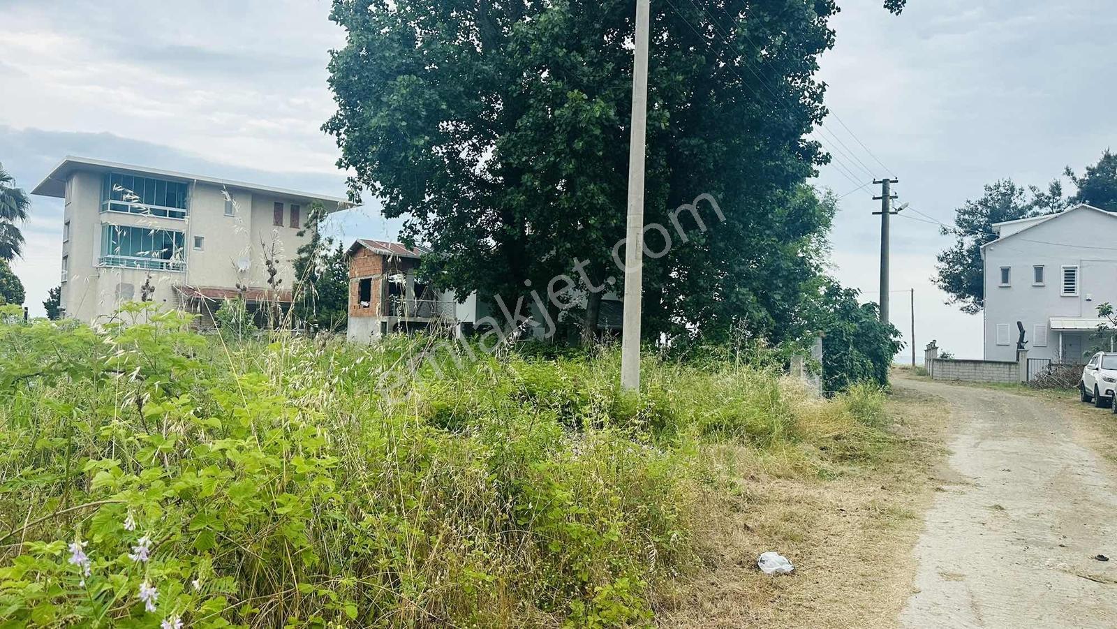 Re/max Rabia Saraçtan Denize 50 Metre Villa İmarlı Arsa - Görsel 5