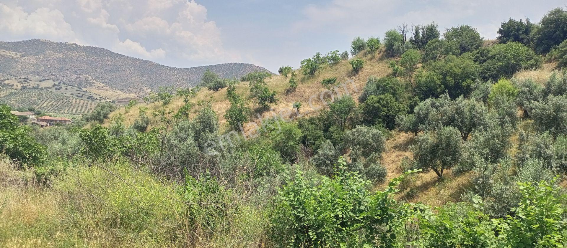Sakin Bir Hayata Merhaba Demek İsteyenleri Satılık Müstakil Köy İçi Arsalarız İçin Davet Ediyoruz. - Görsel 14