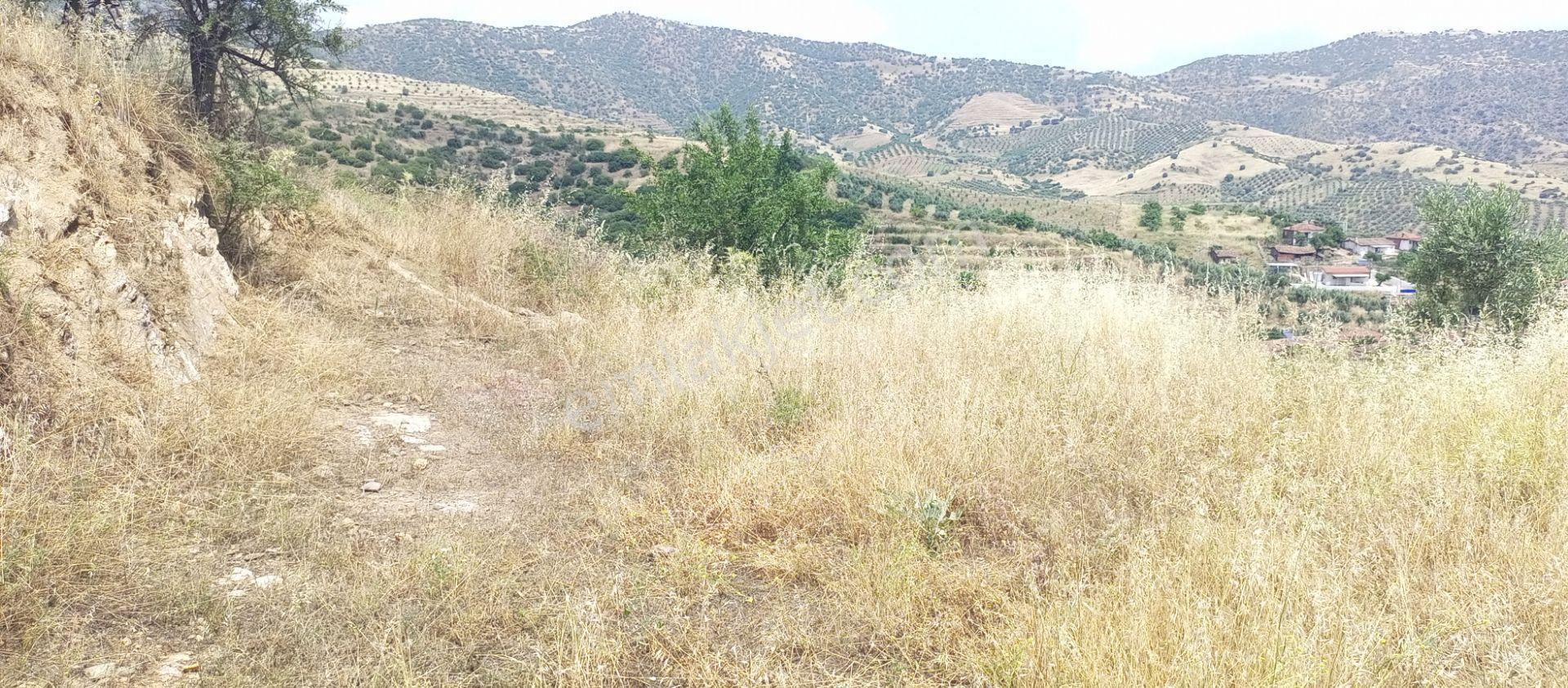 Sakin Bir Hayata Merhaba Demek İsteyenleri Satılık Müstakil Köy İçi Arsalarız İçin Davet Ediyoruz. - Görsel 23