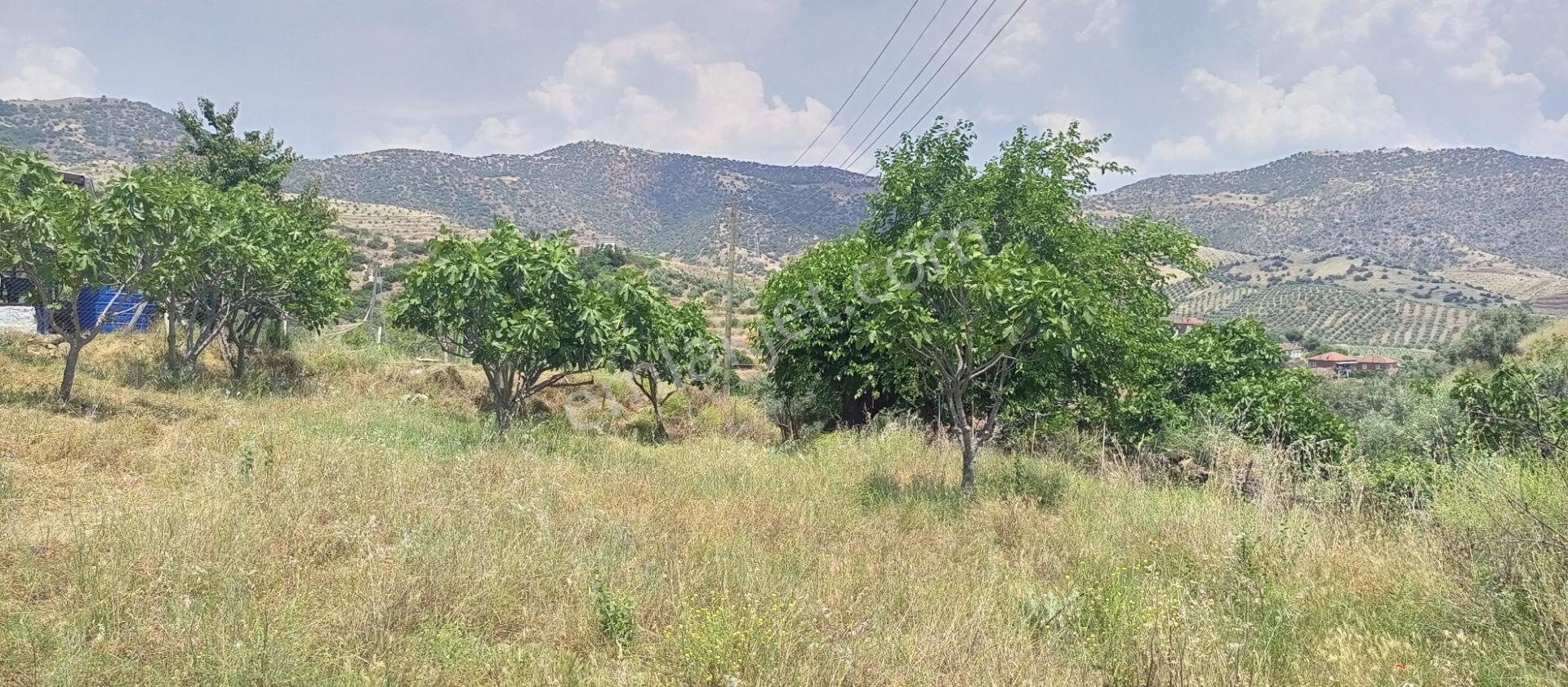 Sakin Bir Hayata Merhaba Demek İsteyenleri Satılık Müstakil Köy İçi Arsalarız İçin Davet Ediyoruz. - Görsel 12