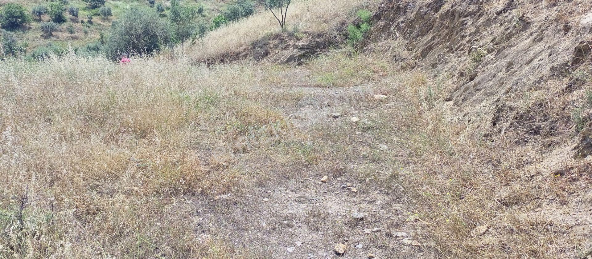 Sakin Bir Hayata Merhaba Demek İsteyenleri Satılık Müstakil Köy İçi Arsalarız İçin Davet Ediyoruz. - Görsel 24