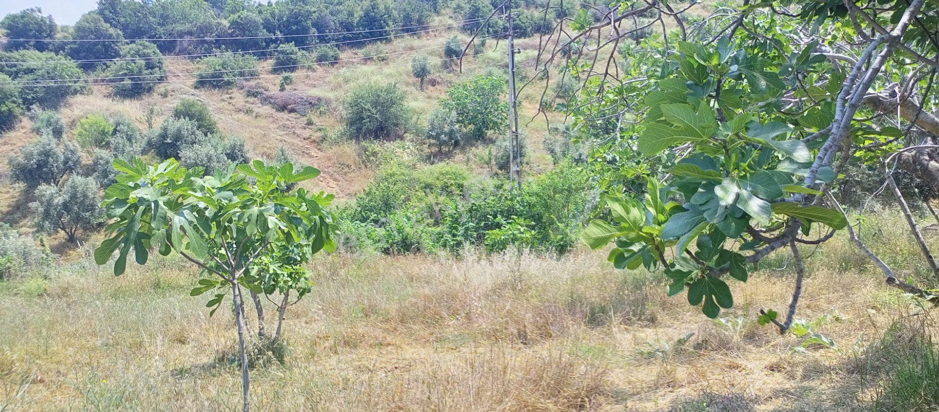 Sakin Bir Hayata Merhaba Demek İsteyenleri Satılık Müstakil Köy İçi Arsalarız İçin Davet Ediyoruz. - Görsel 6