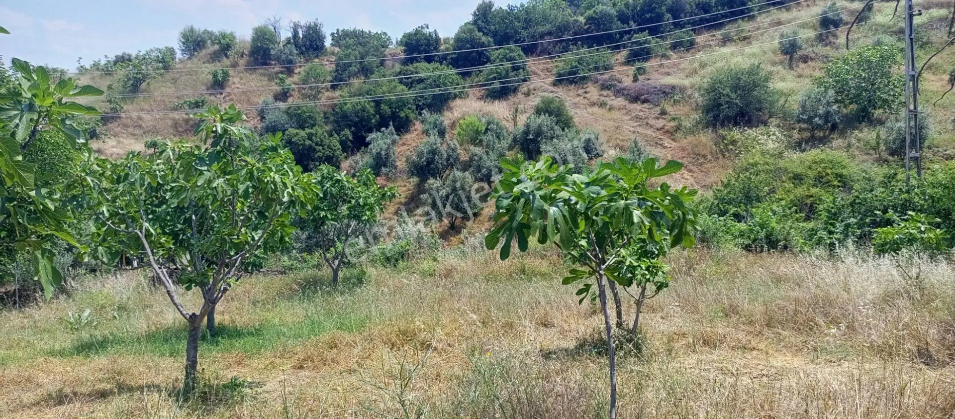 Sakin Bir Hayata Merhaba Demek İsteyenleri Satılık Müstakil Köy İçi Arsalarız İçin Davet Ediyoruz. - Görsel 5