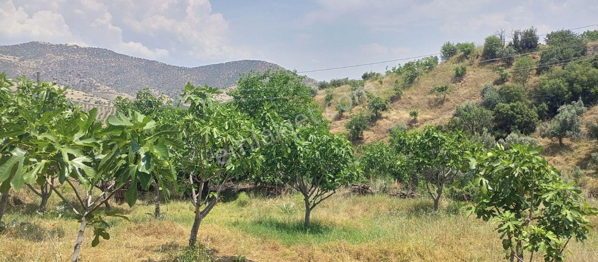Sakin Bir Hayata Merhaba Demek İsteyenleri Satılık Müstakil Köy İçi Arsalarız İçin Davet Ediyoruz. - Görsel 8