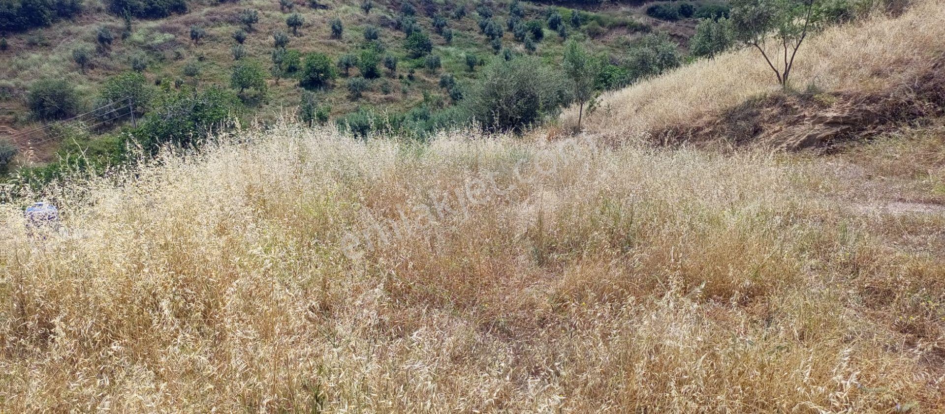 Sakin Bir Hayata Merhaba Demek İsteyenleri Satılık Müstakil Köy İçi Arsalarız İçin Davet Ediyoruz. - Görsel 25