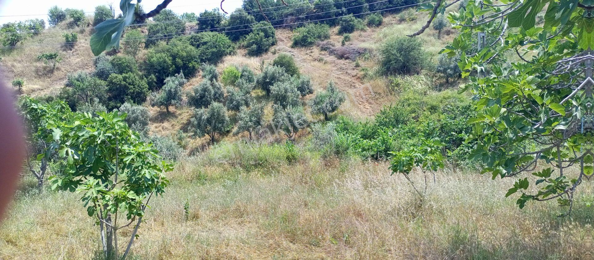 Sakin Bir Hayata Merhaba Demek İsteyenleri Satılık Müstakil Köy İçi Arsalarız İçin Davet Ediyoruz. - Görsel 11