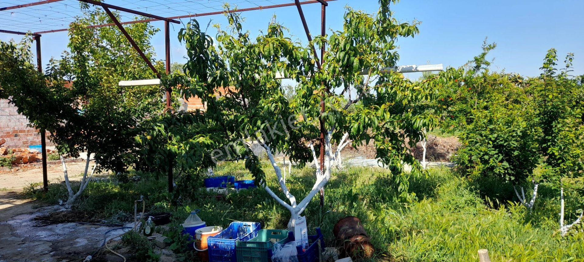Sahibinden İmarlı 2 Aded Evi Olan Arsa - Görsel 8