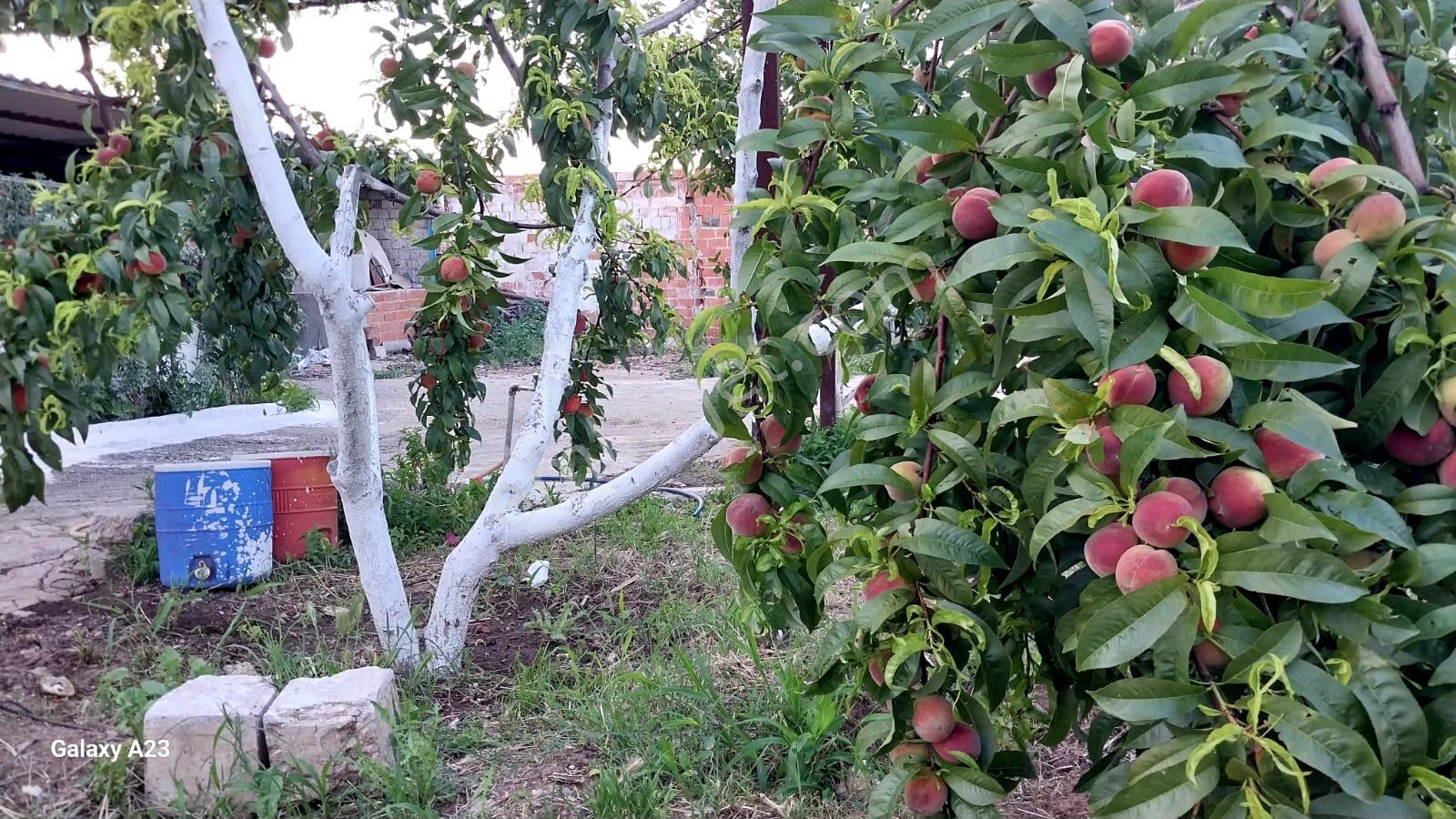 Sahibinden İmarlı 2 Aded Evi Olan Arsa - Görsel 10