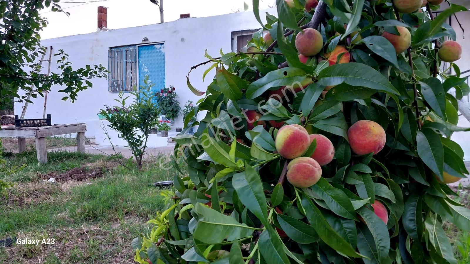 Sahibinden İmarlı 2 Aded Evi Olan Arsa - Görsel 11