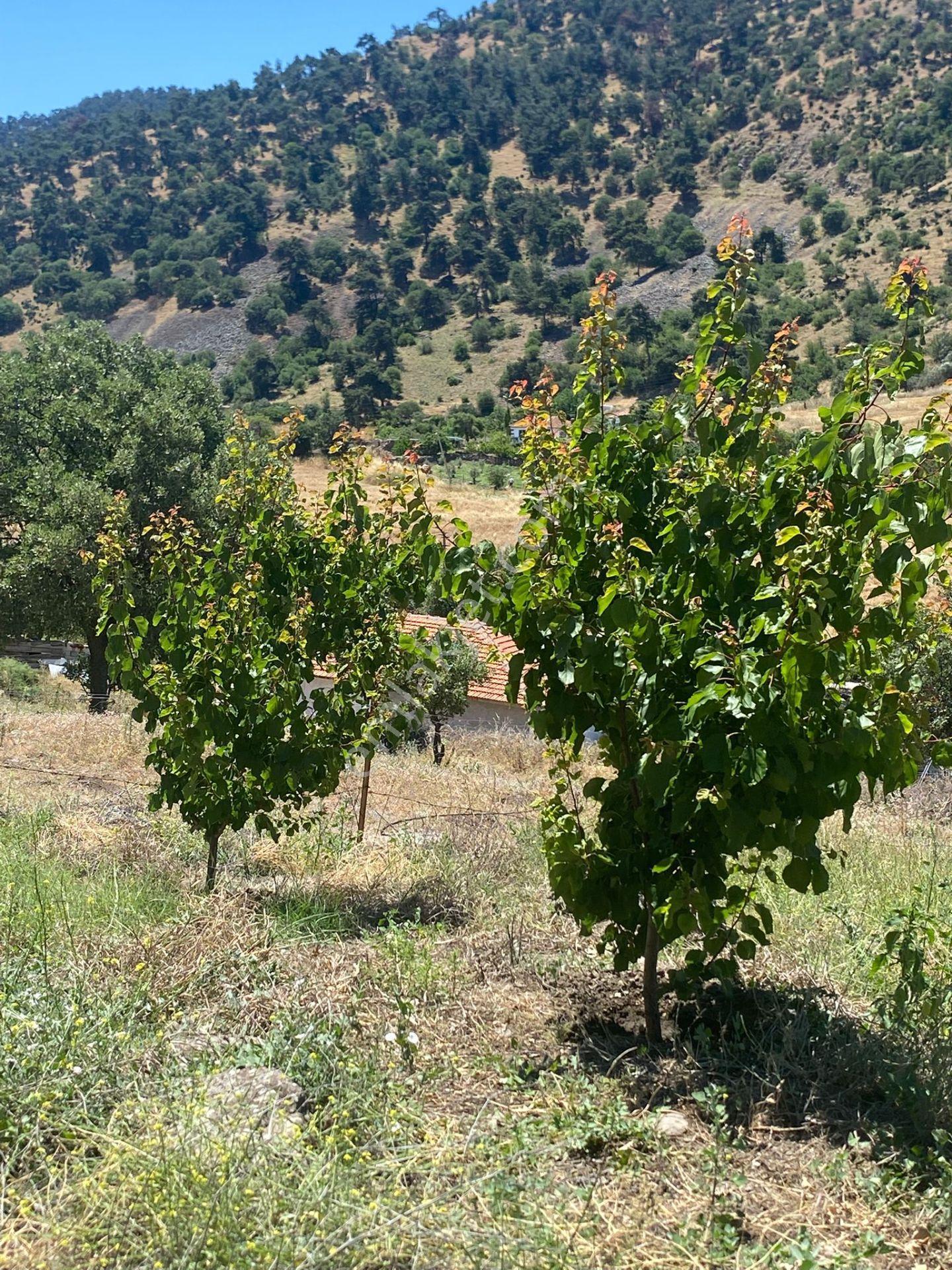 İzmir Kınık Büyükobada Baraj Projesine Yakın 5.374 M² Arazi - Görsel 22