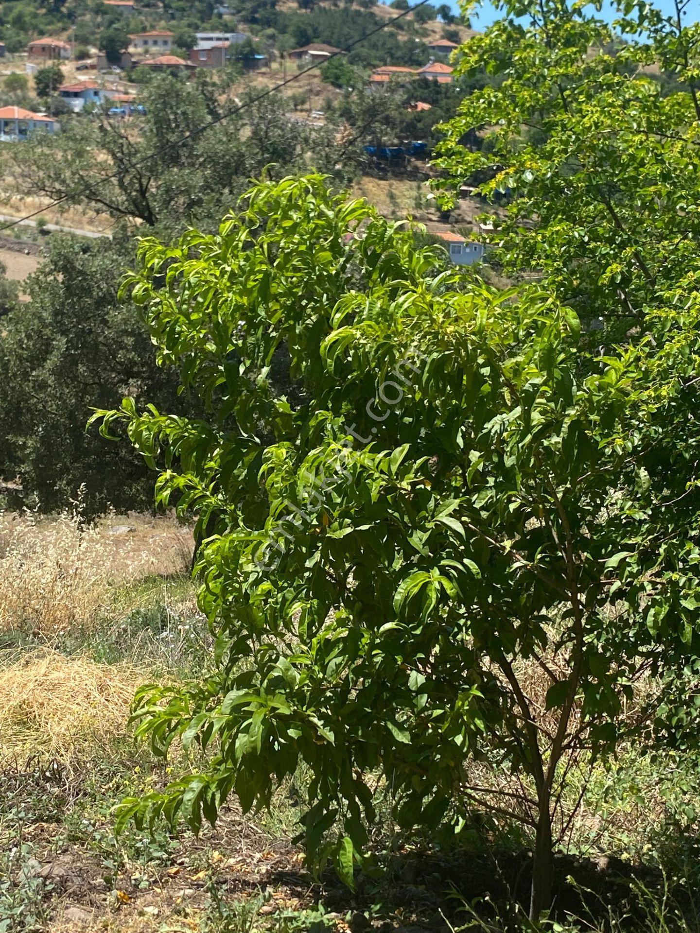 İzmir Kınık Büyükobada Baraj Projesine Yakın 5.374 M² Arazi - Görsel 20
