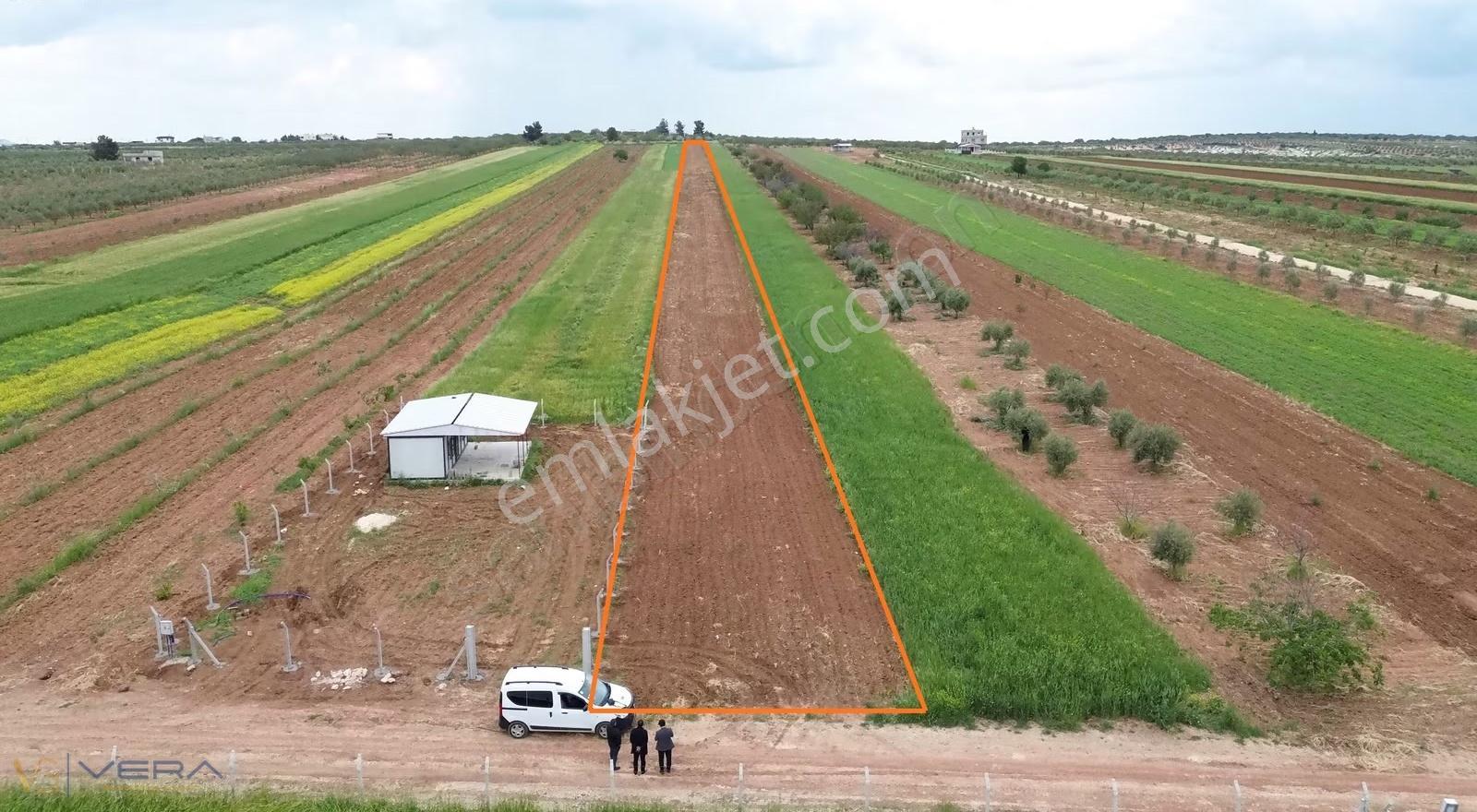 Zeytinli Köyünde Müstakil Tapulu Satılık Tarla 5.460 M²