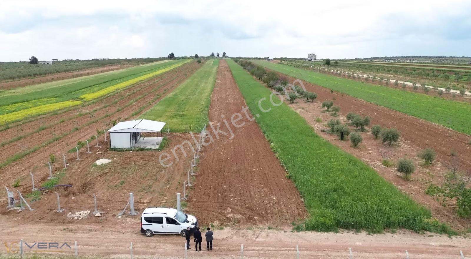 Zeytinli Köyünde Müstakil Tapulu Satılık Tarla 5.460 M² - Görsel 7