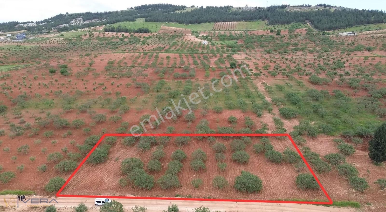 Zeytinlide 92 Metre Yol Cepheli Müstakil Tapulu Satılık Tarla