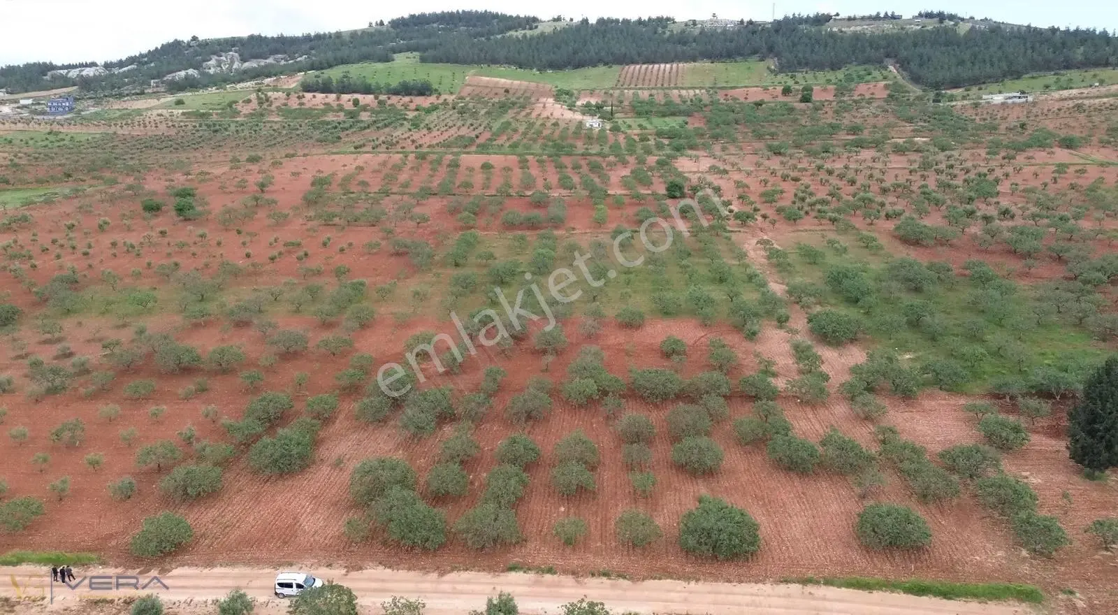 Zeytinlide 92 Metre Yol Cepheli Müstakil Tapulu Satılık Tarla - Görsel 2