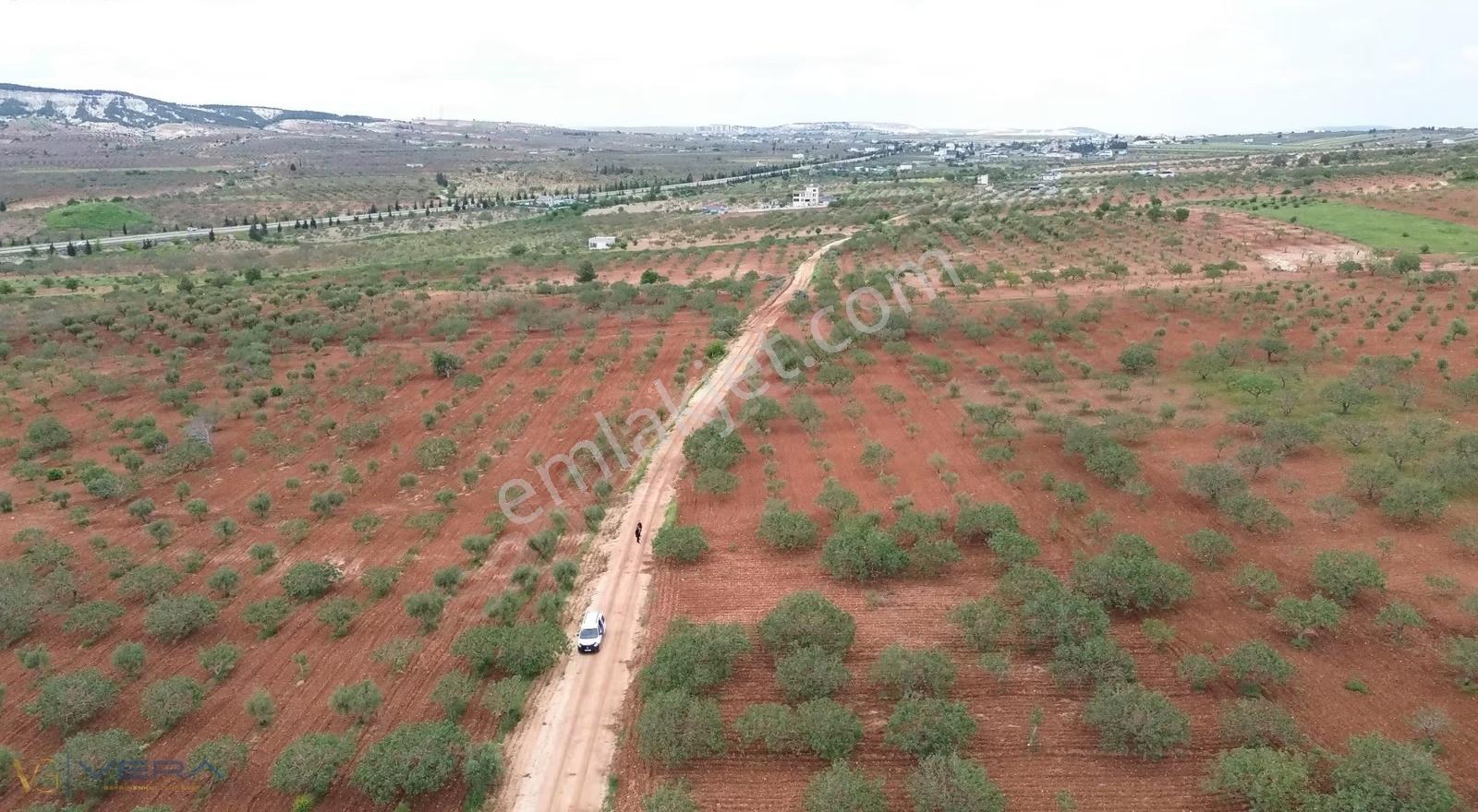 Zeytinlide 92 Metre Yol Cepheli Müstakil Tapulu Satılık Tarla - Görsel 5