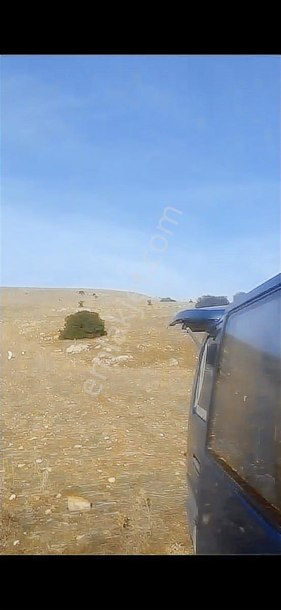 Saruhanlı Lütfiye Köyü 6200 M2 Satılık Tarla - Görsel 2