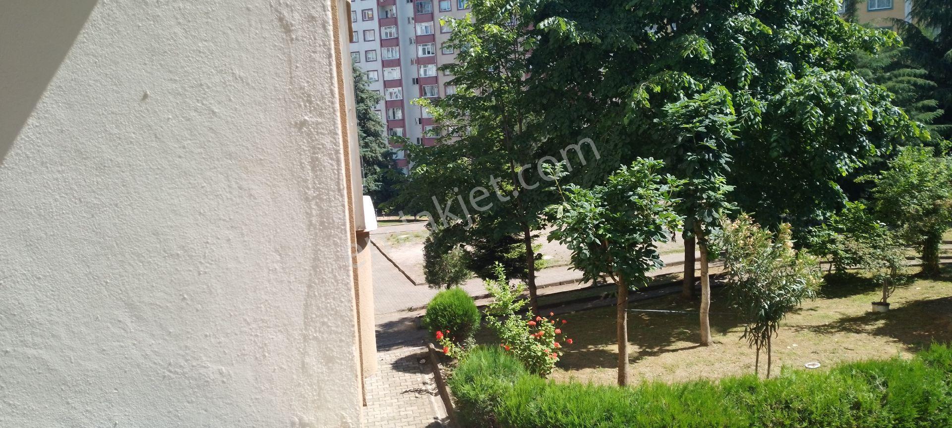 Trabzon Pelitlide Fırsat Satılık Site Dairesi - Görsel 26
