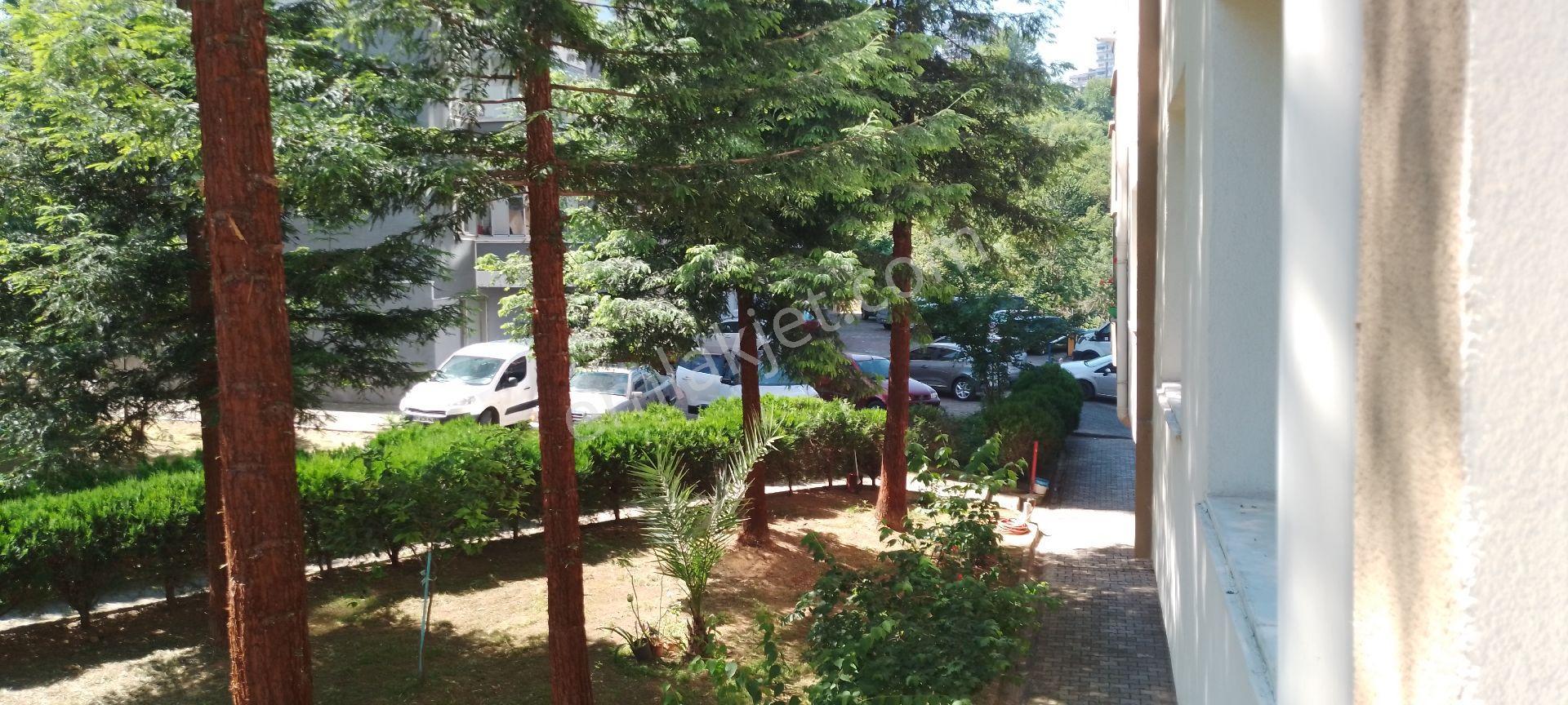 Trabzon Pelitlide Fırsat Satılık Site Dairesi - Görsel 27