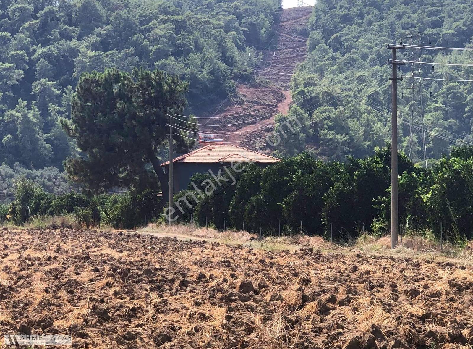 Muğla Ula Gökçe Köyünde Deniz Manzaralı Müstakil Villa - Görsel 17