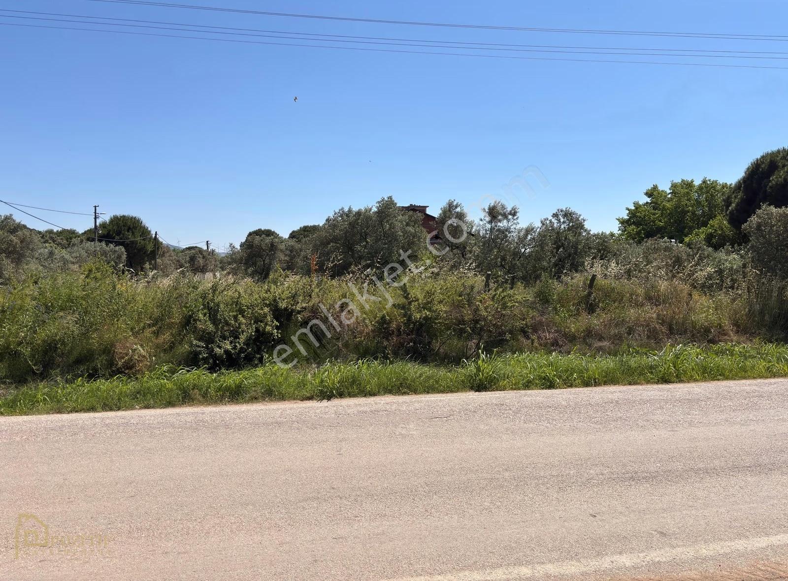 Erdek Zeytinli Kastri Mevkinde 602 M² Villa İmarlı Köşe Parsel - Görsel 5