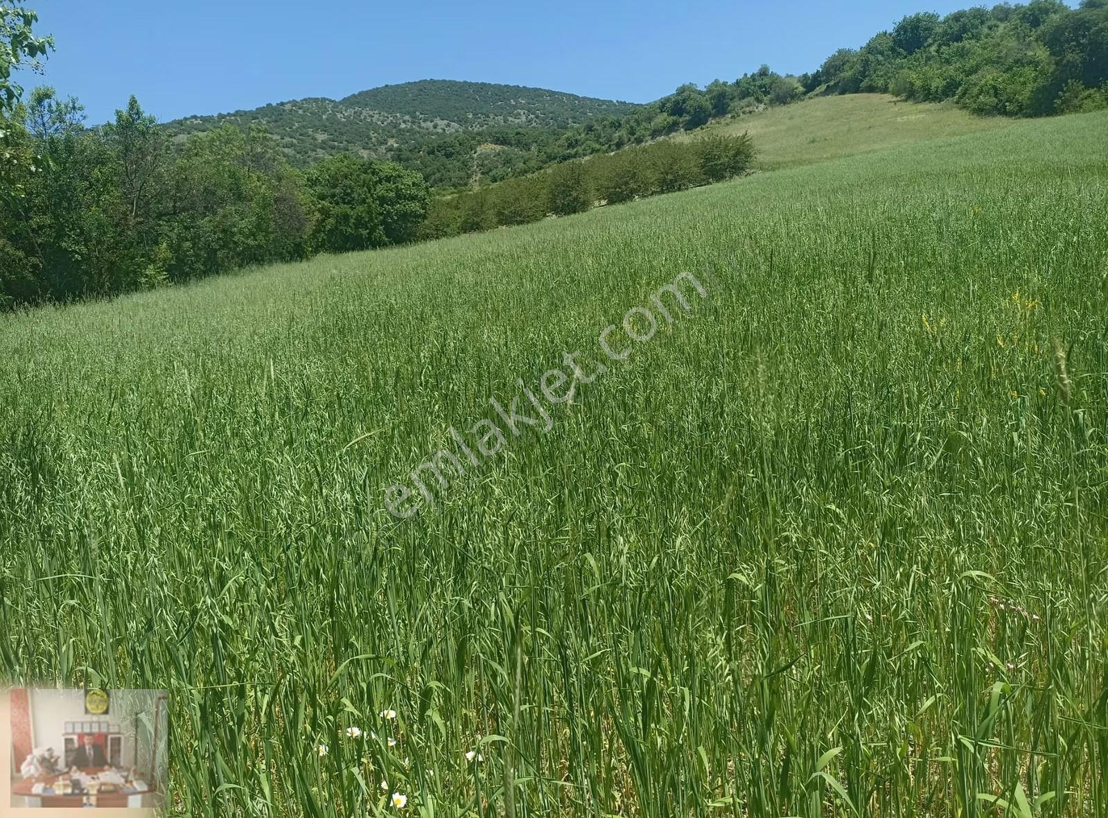 Biskeni Köyünde Şehre Yakın Yolu Olan 6.300 M2 Satılık Tarla - Görsel 8