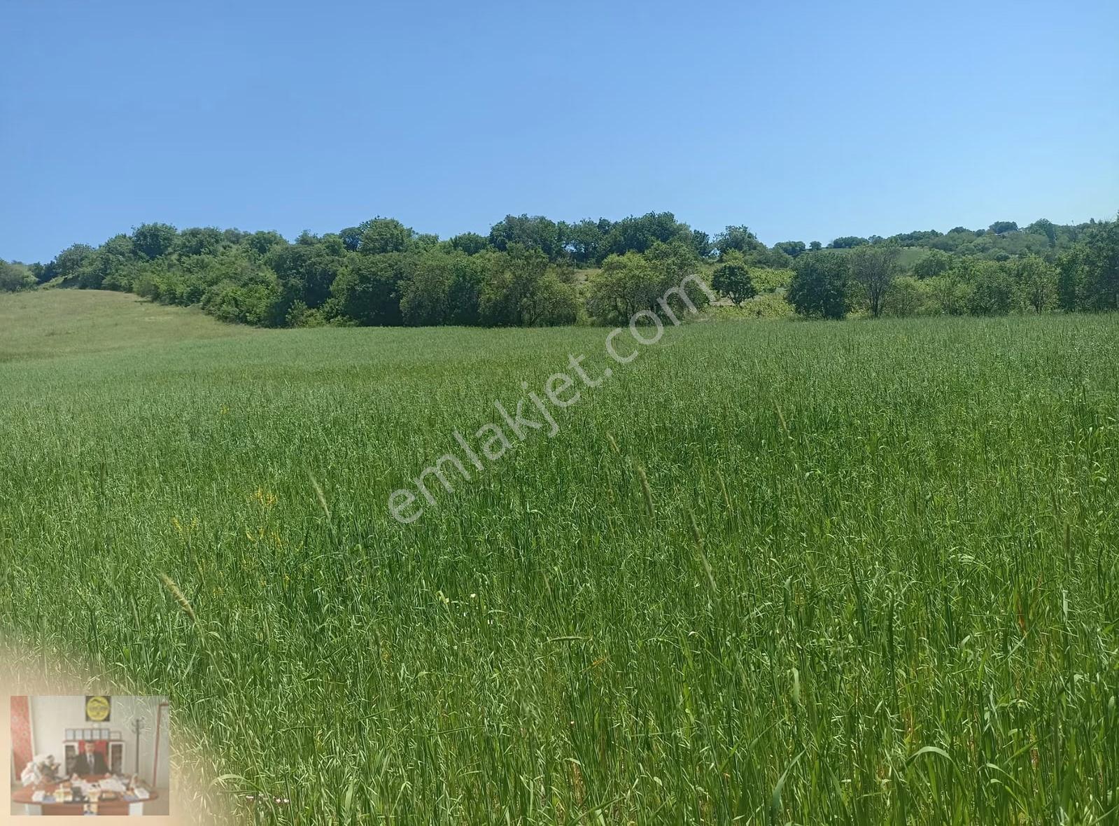 Biskeni Köyünde Şehre Yakın Yolu Olan 6.300 M2 Satılık Tarla - Görsel 6