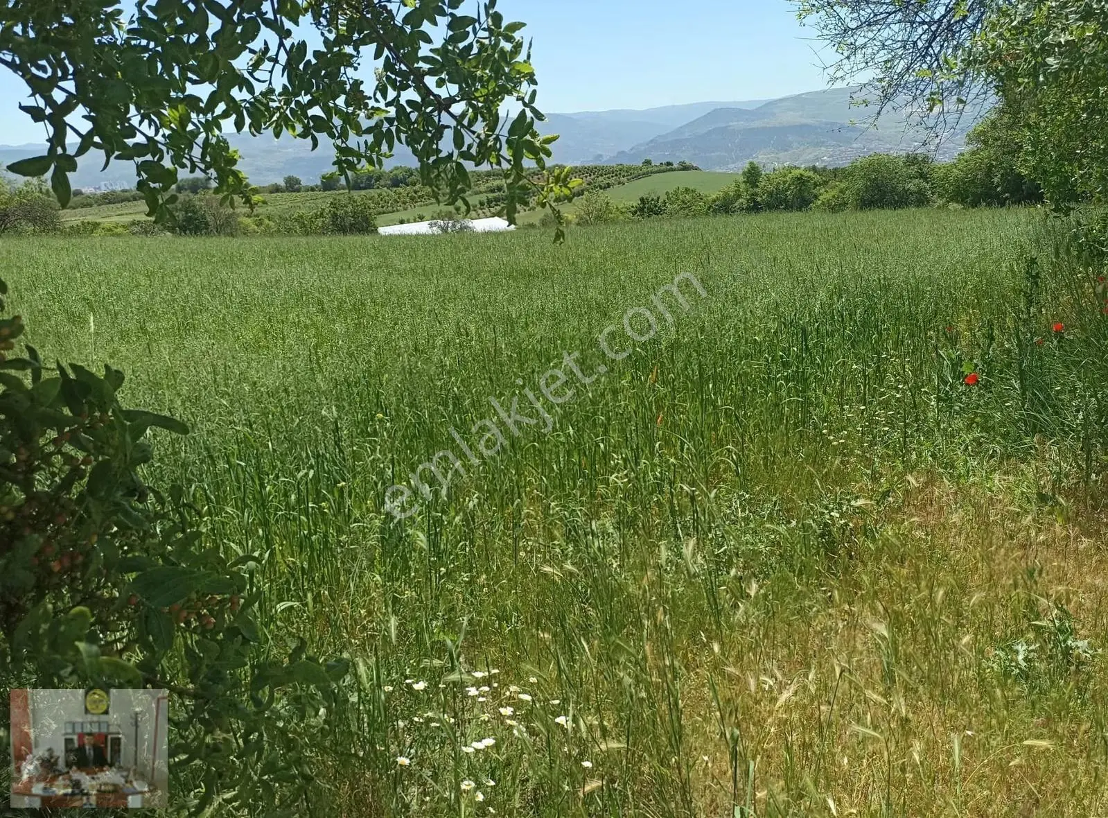 Biskeni Köyünde Şehre Yakın Yolu Olan 6.300 M2 Satılık Tarla - Görsel 3