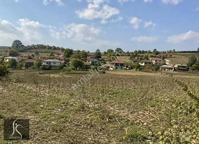 Denizli Bozkurt Tutluca 147 Ada 66 Par 1.065m2 Bağ Köycivarı